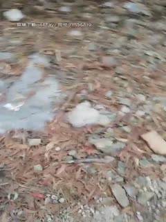 高颜值妹子【骚劲小妖精】驾车户外车上口口,全裸上位骑乘抽插非常诱人,很是诱惑喜欢不要错过第07集