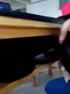 图书馆一对骚货情侣,趁着同学们在前面看书,偷偷坐在后面复习顺便喂骚女友吃大鸡巴!