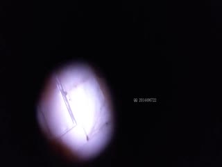 神秘侠客 窥探 ·城中村爱情· :装修哥们一起 寻爱情,双宿双飞,见证兄弟强悍的打桩能力,有说有笑,对白骚气腾腾!