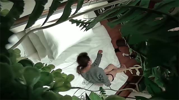 酒店偷拍绝密珍藏:绿植情趣房内少妇高潮喷水实录